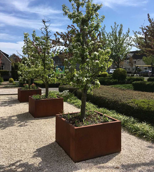 Alignement de jardinières carrées en acier Corten accueillant des arbres le long d’une allée paysagère.