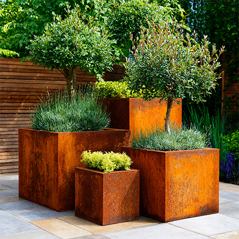 Composition de jardinières carrées en acier Corten de différentes hauteurs plantées d’arbres, d’arbustes et de graminées.