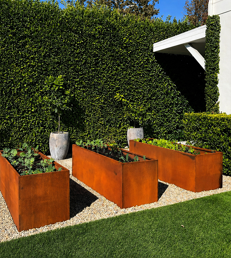 Composition de jardinières Corten rectangulaires utilisées comme bacs potagers dans un jardin contemporain.