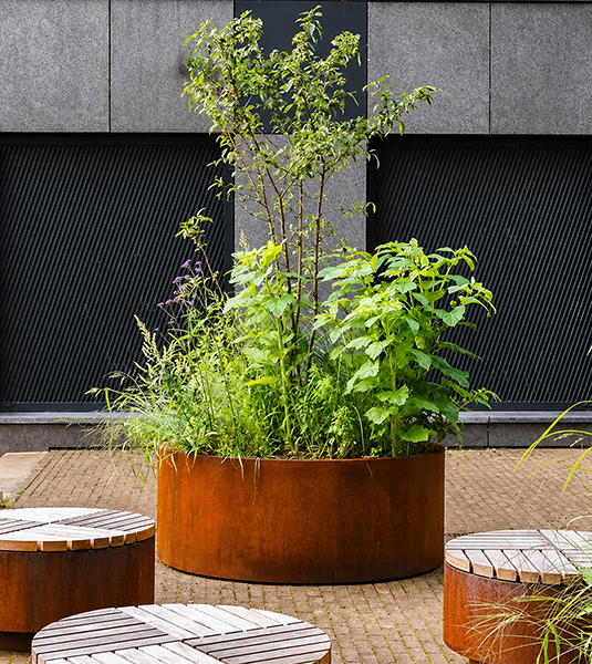 Grande jardinière circulaire en acier Corten accueillant un arbre et des plantations variées dans un espace public.