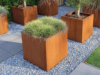 Jardinière cubique en acier Corten plantée d’un arbuste dans un jardin architectural contemporain.