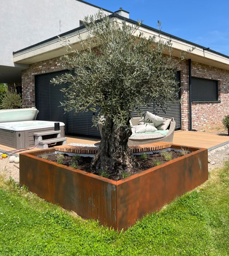 Jardinière carrée en acier Corten de grande dimension accueillant un olivier mature dans le jardin d’une villa contemporaine.