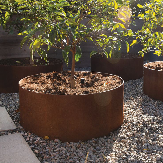 Jardinière Corten ronde et basse accueillant un arbre dans un jardin minéral contemporain.
