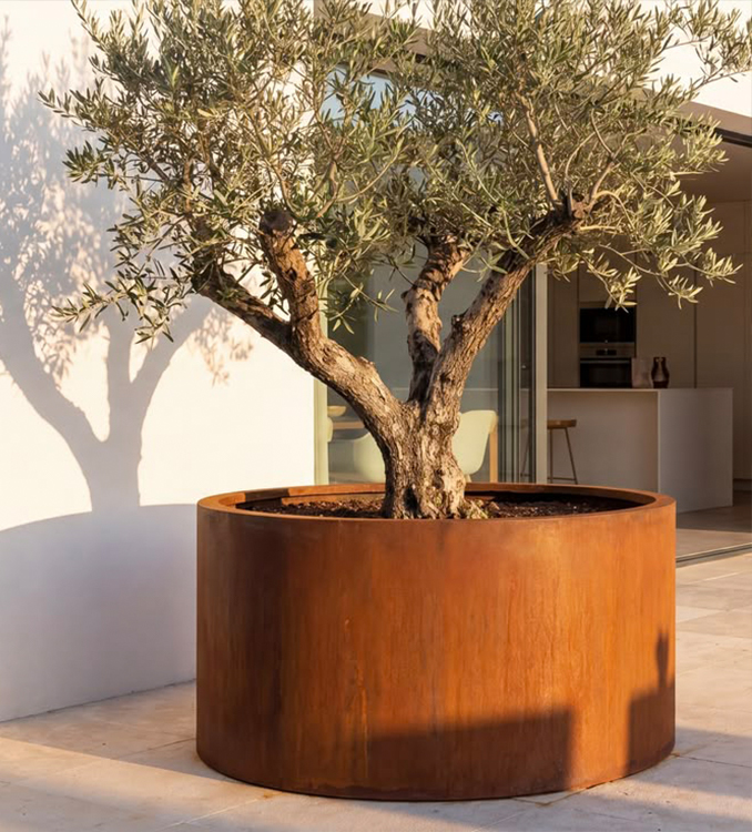 Grande jardinière cylindrique en acier Corten accueillant un olivier sur la terrasse d’une villa contemporaine.
